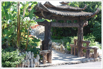 Chinese Tea Garden